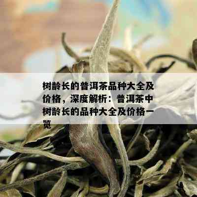 树龄长的普洱茶品种大全及价格，深度解析：普洱茶中树龄长的品种大全及价格一览