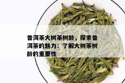 普洱茶大树茶树龄，探索普洱茶的魅力：了解大树茶树龄的重要性