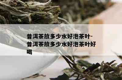 普洱茶放多少水好泡茶叶-普洱茶放多少水好泡茶叶好喝