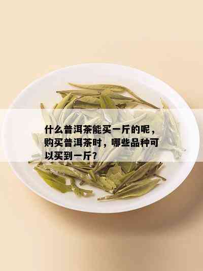 什么普洱茶能买一斤的呢，购买普洱茶时，哪些品种可以买到一斤？