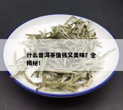 什么普洱茶值钱又美味？全揭秘！