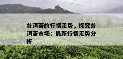 普洱茶的行情走势，探究普洱茶市场：最新行情走势分析