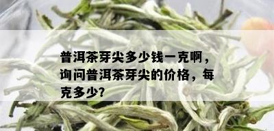 普洱茶芽尖多少钱一克啊，询问普洱茶芽尖的价格，每克多少？