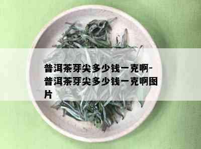 普洱茶芽尖多少钱一克啊-普洱茶芽尖多少钱一克啊图片