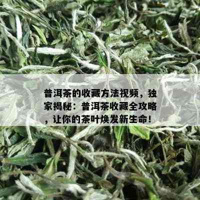 普洱茶的收藏方法视频，独家揭秘：普洱茶收藏全攻略，让你的茶叶焕发新生命！