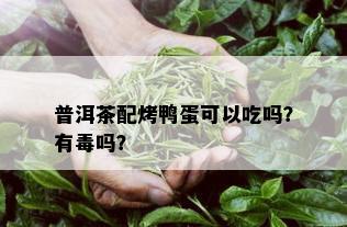 普洱茶配烤鸭蛋可以吃吗？有吗？