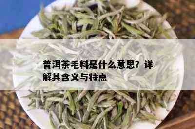 普洱茶毛料是什么意思？详解其含义与特点