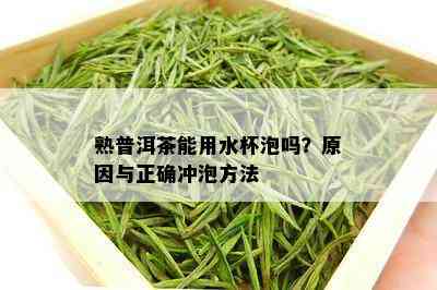 熟普洱茶能用水杯泡吗？原因与正确冲泡方法