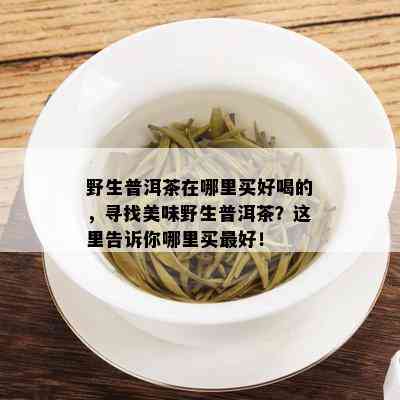 野生普洱茶在哪里买好喝的，寻找美味野生普洱茶？这里告诉你哪里买更好！