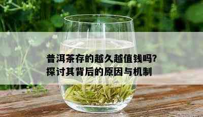 普洱茶存的越久越值钱吗？探讨其背后的原因与机制