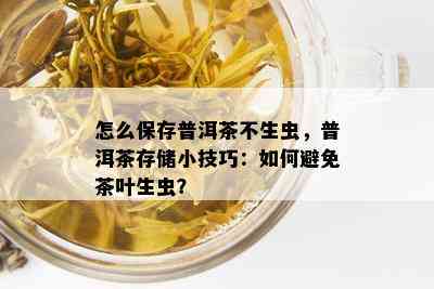 怎么保存普洱茶不生虫，普洱茶存储小技巧：如何避免茶叶生虫？