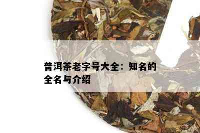 普洱茶老字号大全：知名的全名与介绍