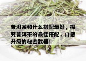 普洱茶和什么搭配更好，探究普洱茶的更佳搭配，口感升级的秘密武器！