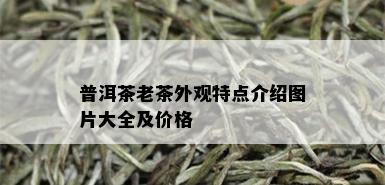 普洱茶老茶外观特点介绍图片大全及价格