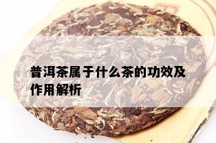 普洱茶属于什么茶的功效及作用解析