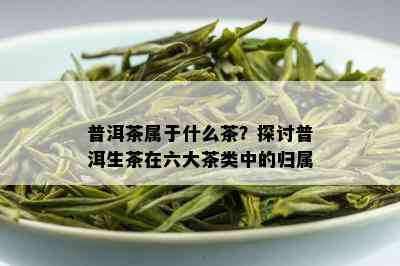 普洱茶属于什么茶？探讨普洱生茶在六大茶类中的归属