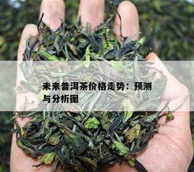 未来普洱茶价格走势：预测与分析图