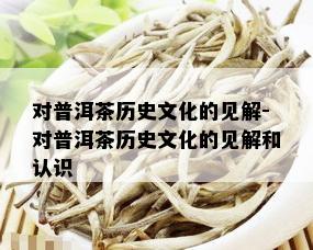 对普洱茶历史文化的见解-对普洱茶历史文化的见解和认识