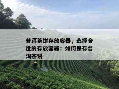 普洱茶饼存放容器，选择合适的存放容器：如何保存普洱茶饼