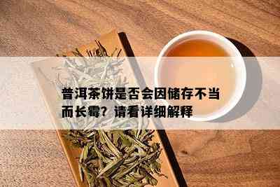 普洱茶饼是否会因储存不当而长霉？请看详细解释