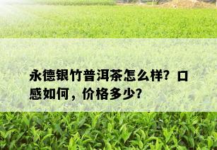 永德银竹普洱茶怎么样？口感如何，价格多少？