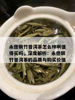 永德银竹普洱茶怎么样啊值得买吗，深度解析：永德银竹普洱茶的品质与购买价值