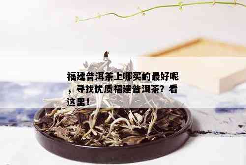 福建普洱茶上哪买的更好呢，寻找优质福建普洱茶？看这里！