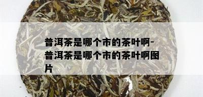 普洱茶是哪个市的茶叶啊-普洱茶是哪个市的茶叶啊图片