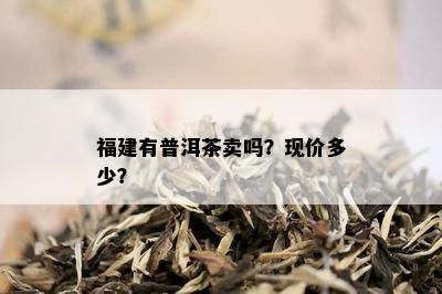 福建有普洱茶卖吗？现价多少？