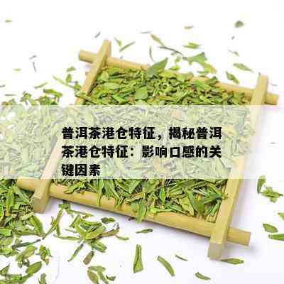 普洱茶港仓特征，揭秘普洱茶港仓特征：影响口感的关键因素