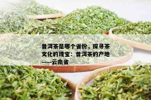 普洱茶是哪个省份，探寻茶文化的瑰宝：普洱茶的产地——云南省