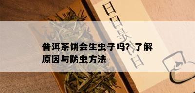 普洱茶饼会生虫子吗？了解原因与防虫方法