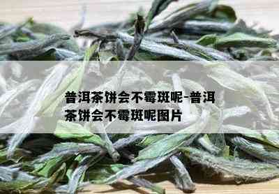 普洱茶饼会不霉斑呢-普洱茶饼会不霉斑呢图片