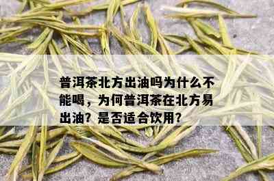 普洱茶北方出油吗为什么不能喝，为何普洱茶在北方易出油？是否适合饮用？