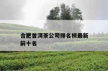 合肥普洱茶公司排名榜最新前十名