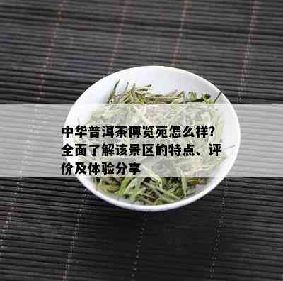 中华普洱茶博览苑怎么样？全面了解该景区的特点、评价及体验分享