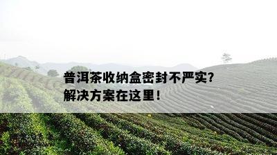 普洱茶收纳盒密封不严实？解决方案在这里！