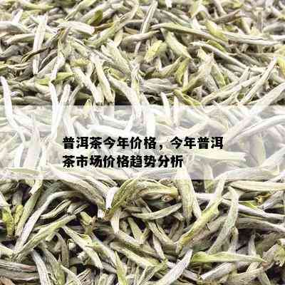 普洱茶今年价格，今年普洱茶市场价格趋势分析