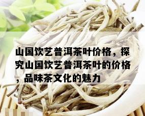 山国饮艺普洱茶叶价格，探究山国饮艺普洱茶叶的价格，品味茶文化的魅力