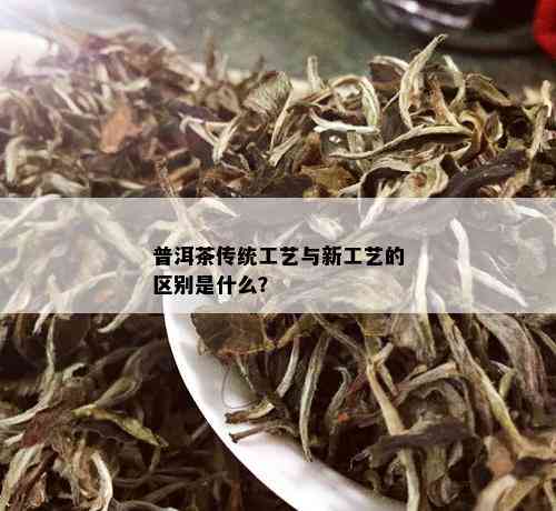 普洱茶传统工艺与新工艺的区别是什么？