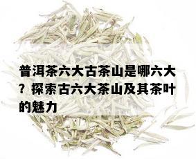 普洱茶六大古茶山是哪六大？探索古六大茶山及其茶叶的魅力