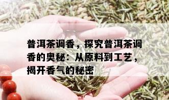 普洱茶调香，探究普洱茶调香的奥秘：从原料到工艺，揭开香气的秘密