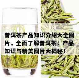 普洱茶产品知识介绍大全图片，全面了解普洱茶：产品知识与精美图片大揭秘！