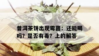 普洱茶饼出现霉菌：还能喝吗？是否有？上的解答