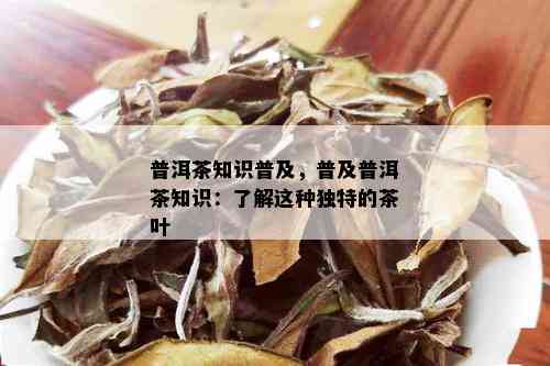 普洱茶知识普及，普及普洱茶知识：了解这种独特的茶叶