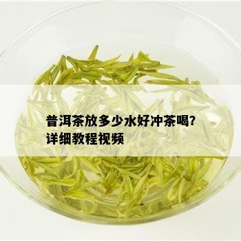 普洱茶放多少水好冲茶喝？详细教程视频