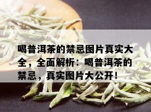 喝普洱茶的禁忌图片真实大全，全面解析：喝普洱茶的禁忌，真实图片大公开！