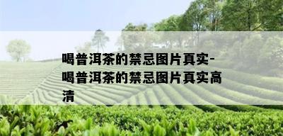 喝普洱茶的禁忌图片真实-喝普洱茶的禁忌图片真实高清