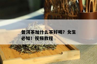 普洱茶加什么茶好喝？女生必知！视频教程