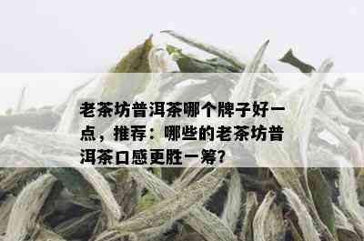 老茶坊普洱茶哪个牌子好一点，推荐：哪些的老茶坊普洱茶口感更胜一筹？